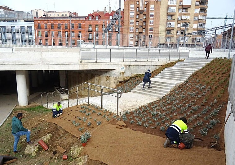 Vecinos de la Ciudad de la Comunicación muestran en un documental los efectos de la parálisis de la integración ferroviaria